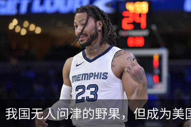 我国无人问津的野果，但成为美国人的心头宝，60元1斤供不应求？